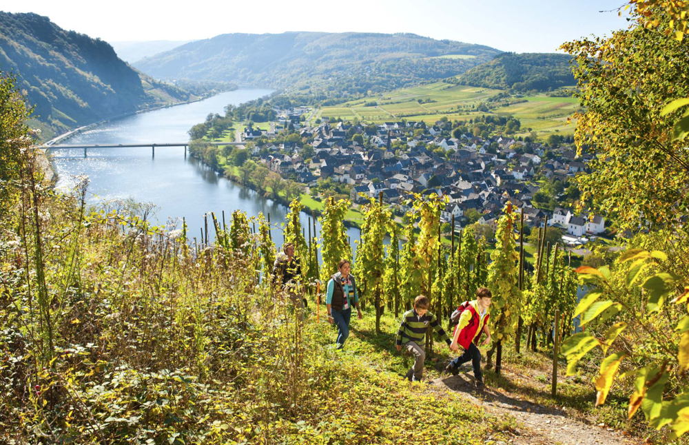 Wandern an der Mosel