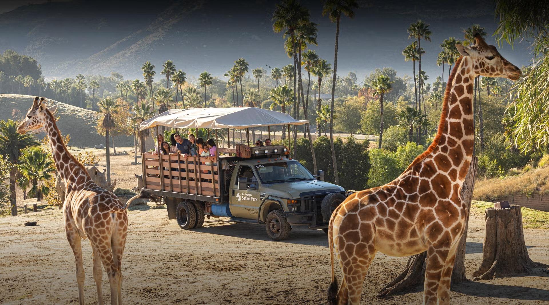 San Diego Zoo Safari Park, California