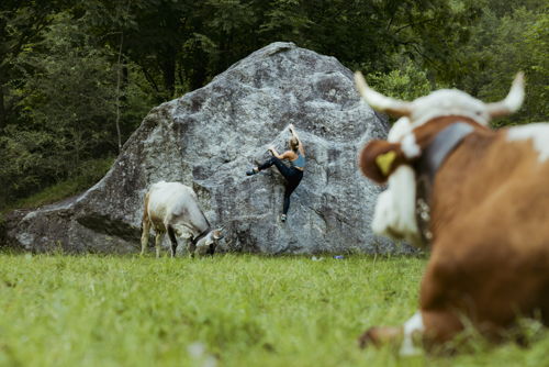 Hang With The Locals Landscape