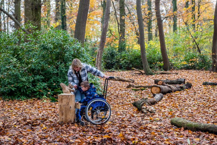 Speelbos Hof De Bist © Dries Luyten