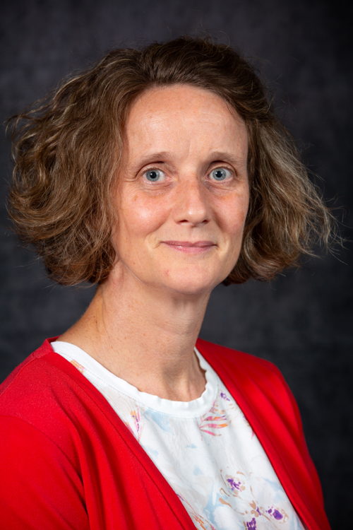 Prof. Kris Van Den Bogaert