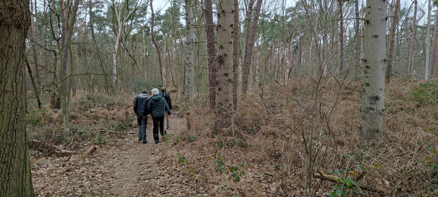 Bosmanshoeckbos