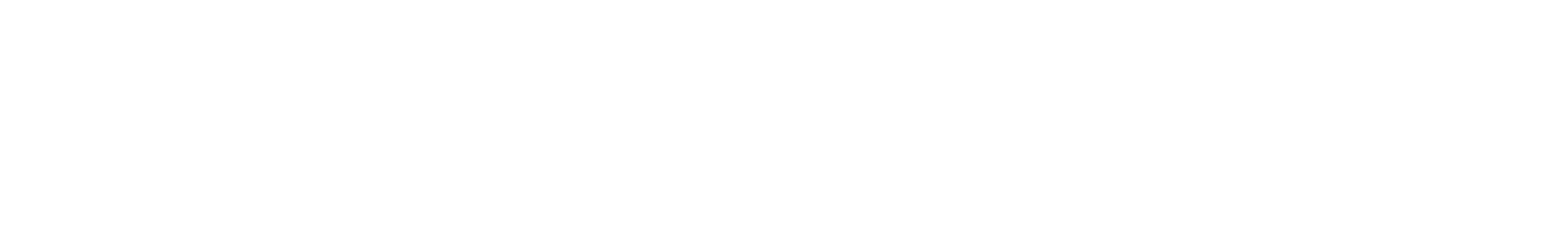 Start it Accelerate logo (white)