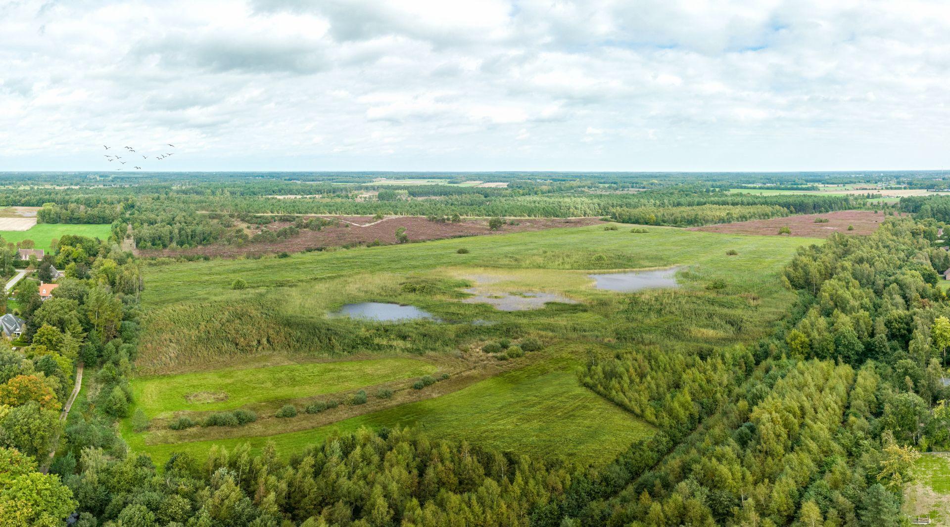 De Liereman in de steigers. Rode Goor als eerste aan de beurt