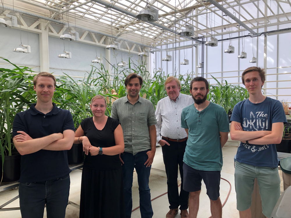 Part of the BREEDIT team at the VIB-UGent Center for Plant Systems Biology: Pieter Wytynck, Hilde Nelissen, Laurens Pauwels, Dirk Inzé, Thomas Jacobs, Wout Vandeputte