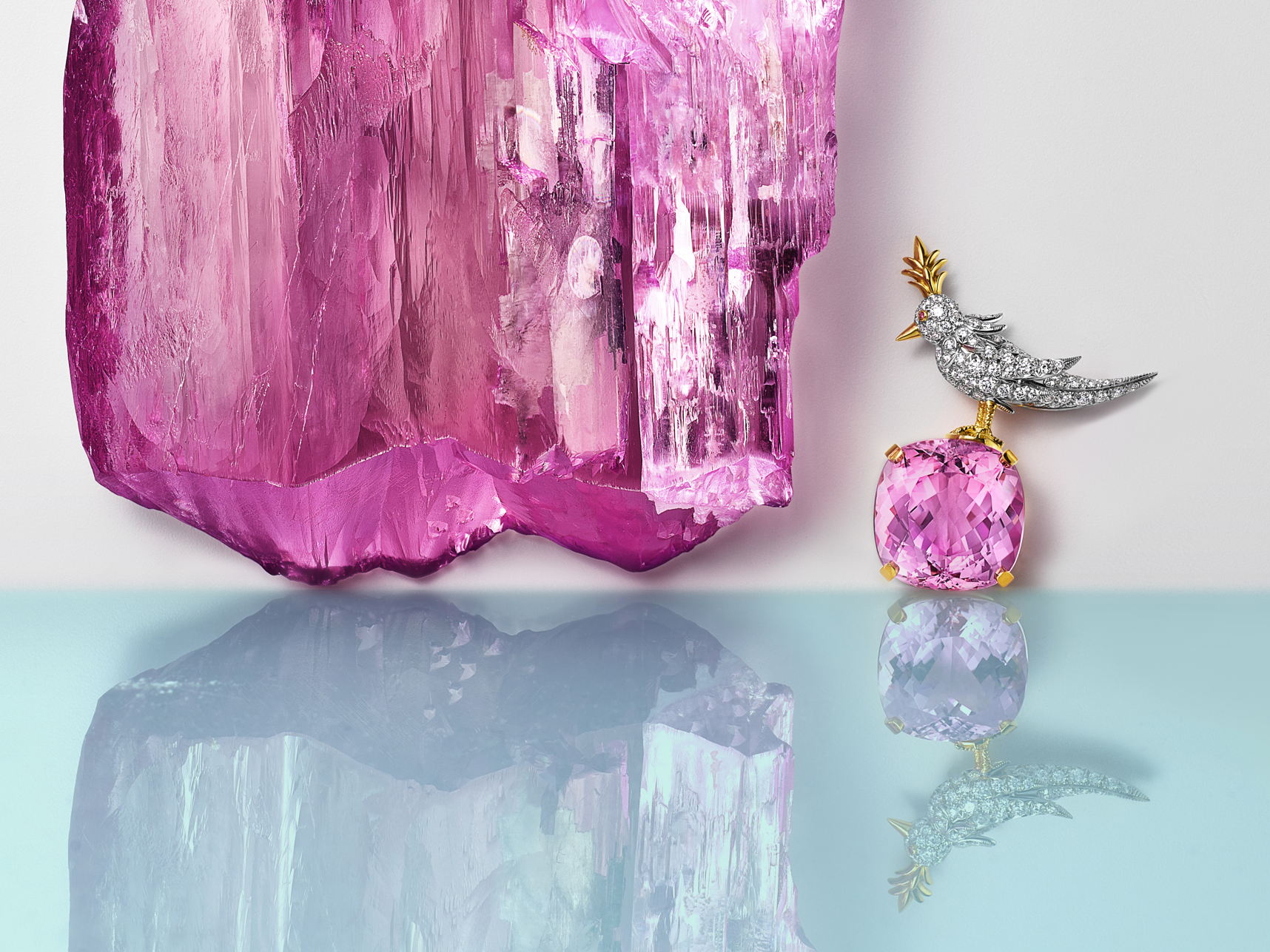 Tiffany & Co. | Nieuwe aanwinst van een buitengewone kunziet