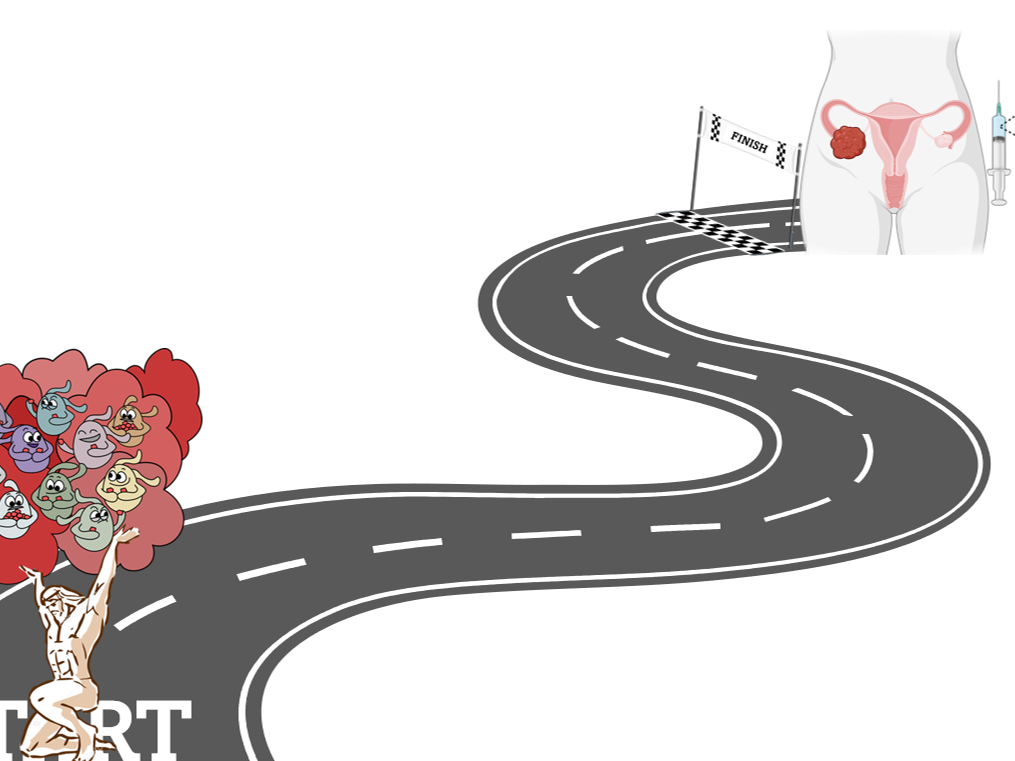 Dendritic cell atlas: roadmap to a better anti-cancer therapy