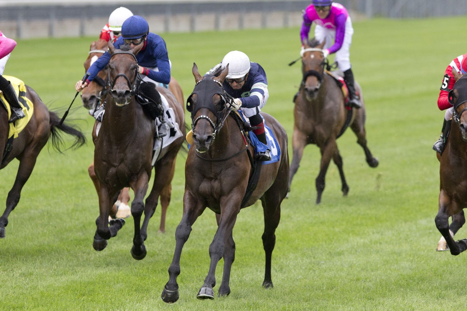 Dream Shake (3) and Rafael Hernandez winning Sunday's Grade 2 Connaught Cup Presented by Bulleit Bourbon. (Michael Burns Photo)