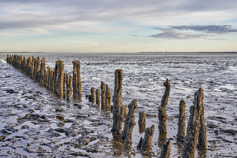 Wattenmeer © DZT/Florian Trykowski