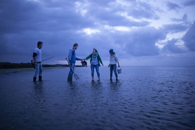 Wadlopen 2 - (c) Mijke Bos