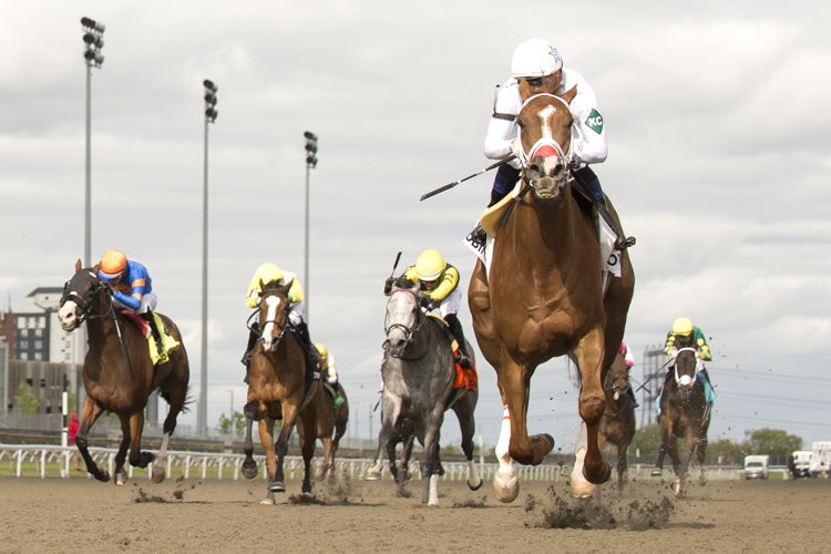 Caitlinhergrtness and jockey Rafael Hernandez winning the Belle Mahone Stakes (G3) on May 31, 2025 at Woodbine (Michael Burns Photo)