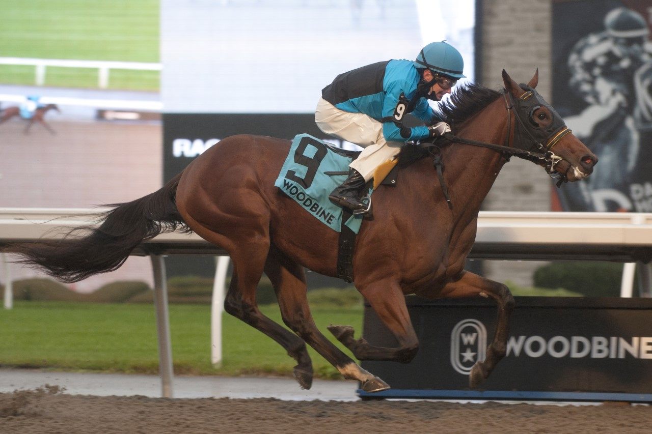 The 118th running of the Coronation Futurity at Woodbine was won by an impressive The Minkster under David Moran. (Michael Burns Photo)