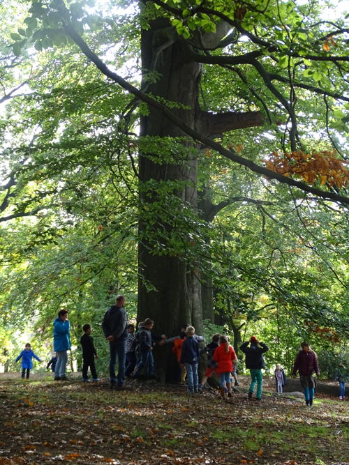 5. Warandepark