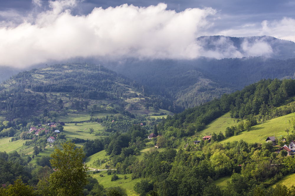 Predrag Despotovic Mokragora