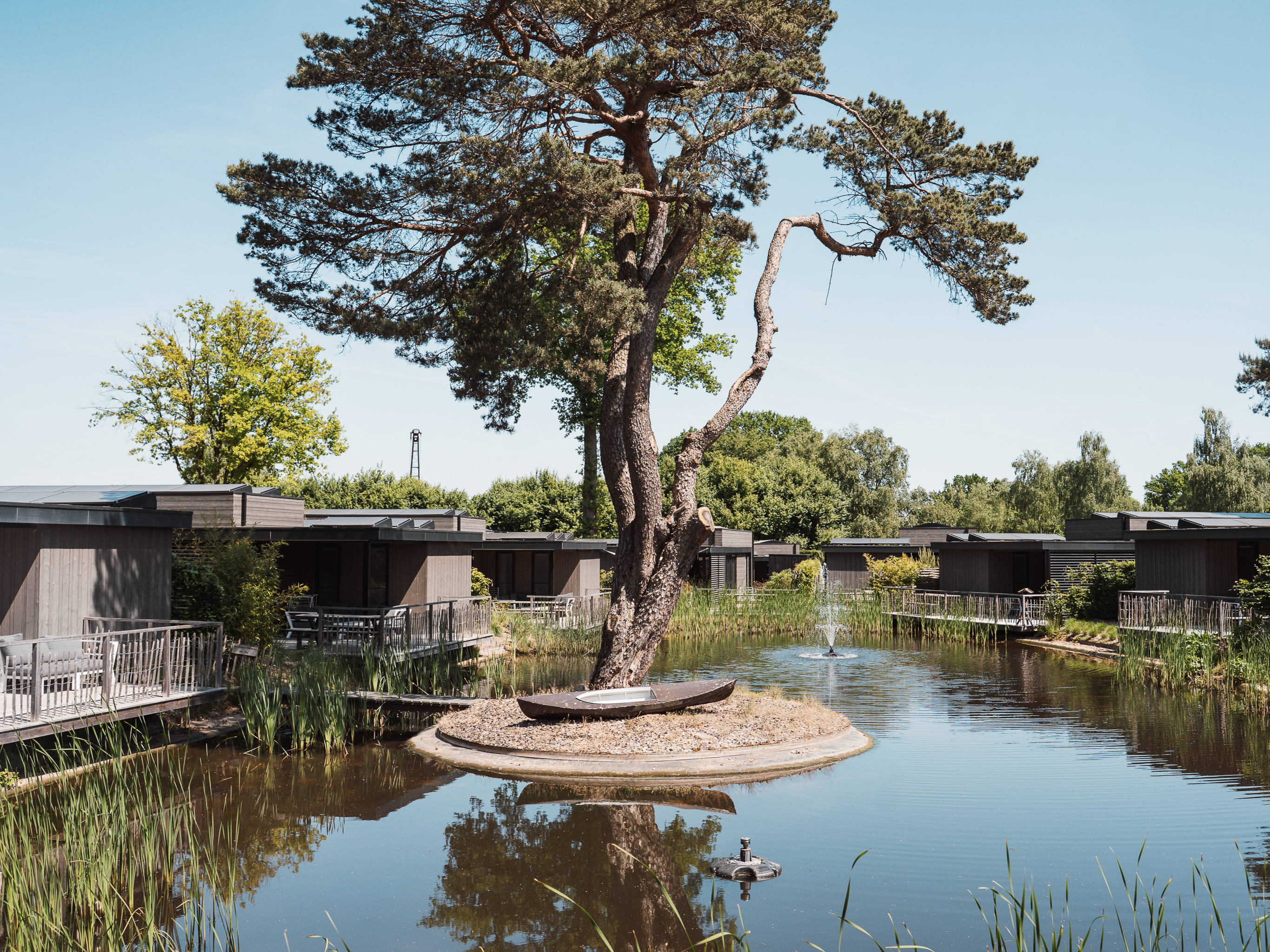 Landal expands its range of holiday parks on the Utrechtse Heuvelrug in the Netherlands