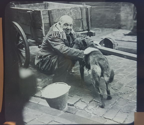 Man bij zijn hondenmelkkar (voor 1900), UGent Boekentoren, Collectie Clemens Trefois Man bij zijn hondenmelkkar (voor 1900), UGent Boekentoren, Collectie Clemens Trefois