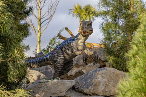 Velociraptor