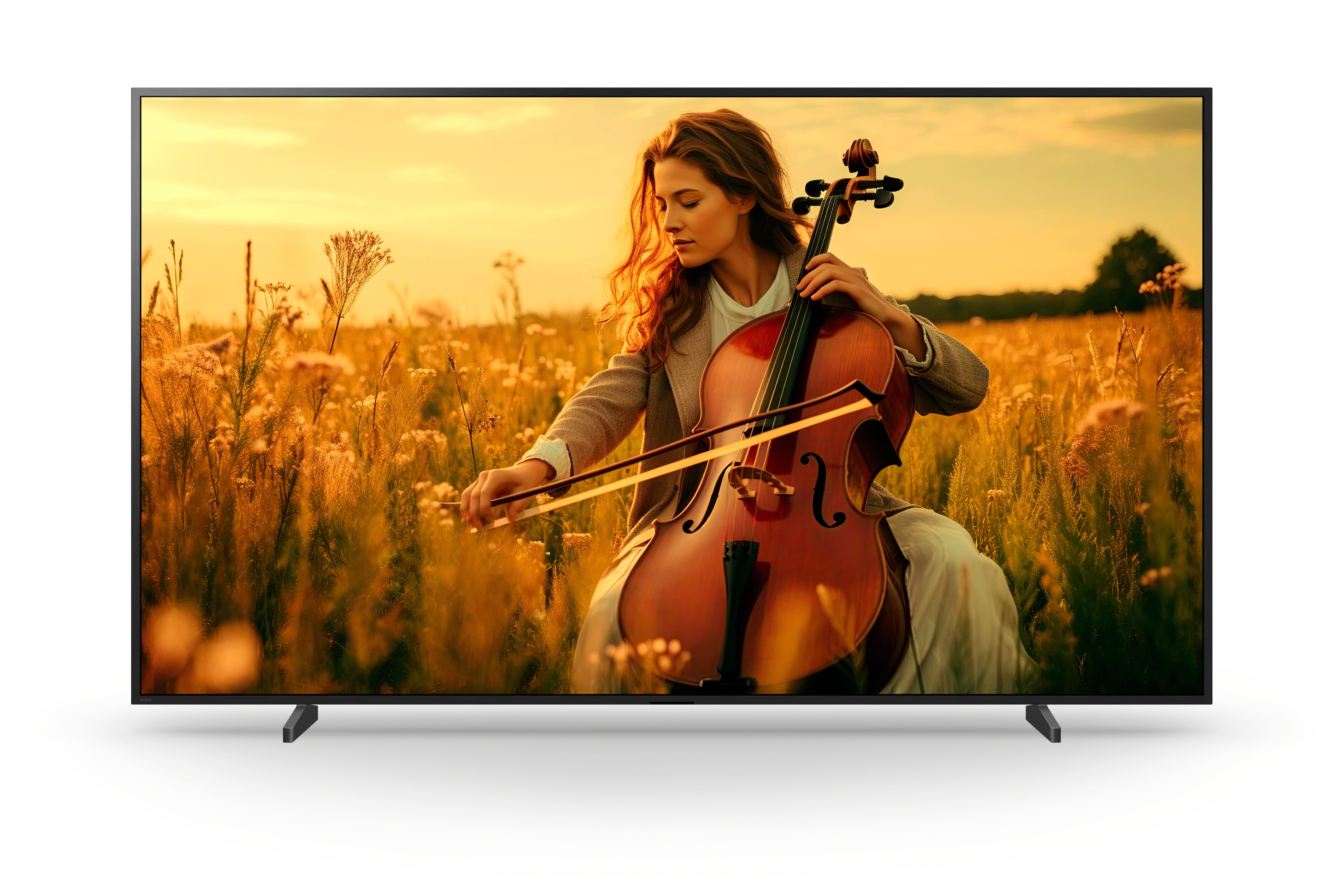 BRAVIA 5 98 inch TV: Bioscoopachtig contrast in elke scène.