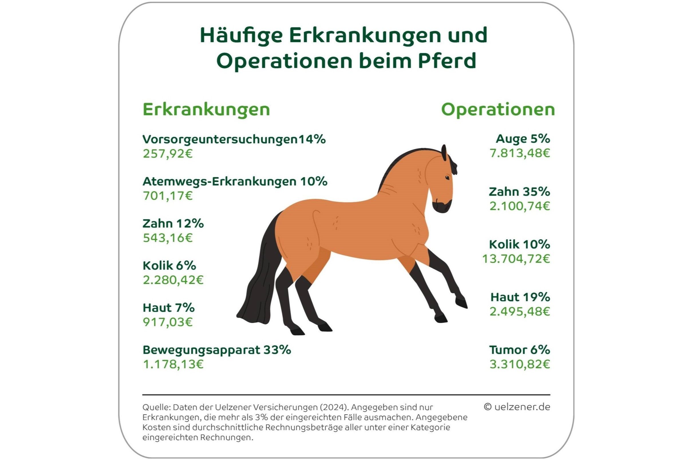 Von Zahn bis Huf: Diese Erkrankungen treten bei Pferden besonders häufig auf