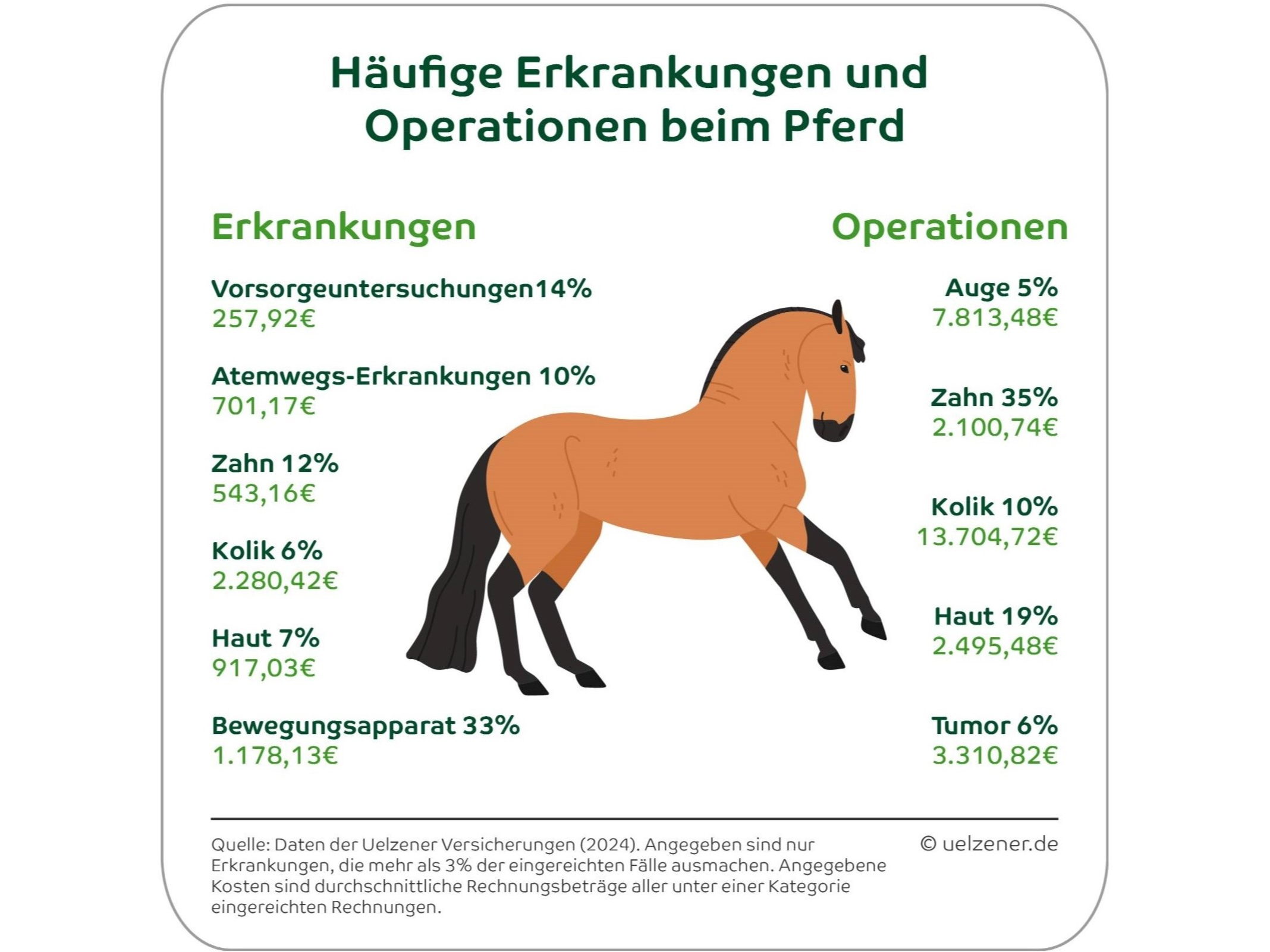 Von Zahn bis Huf: Diese Erkrankungen treten bei Pferden besonders häufig auf