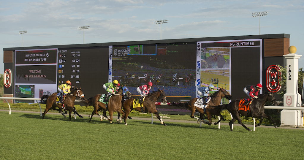 Live racing at Woodbine Racetrack. (Michael Burns Photo)