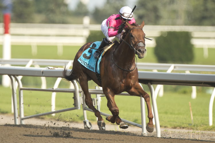 Paramount Prince and jockey Patrick Husbands winning the Seagram Cup (G2) on July 27, 2024 at Woodbine (Michael Burns Photo)