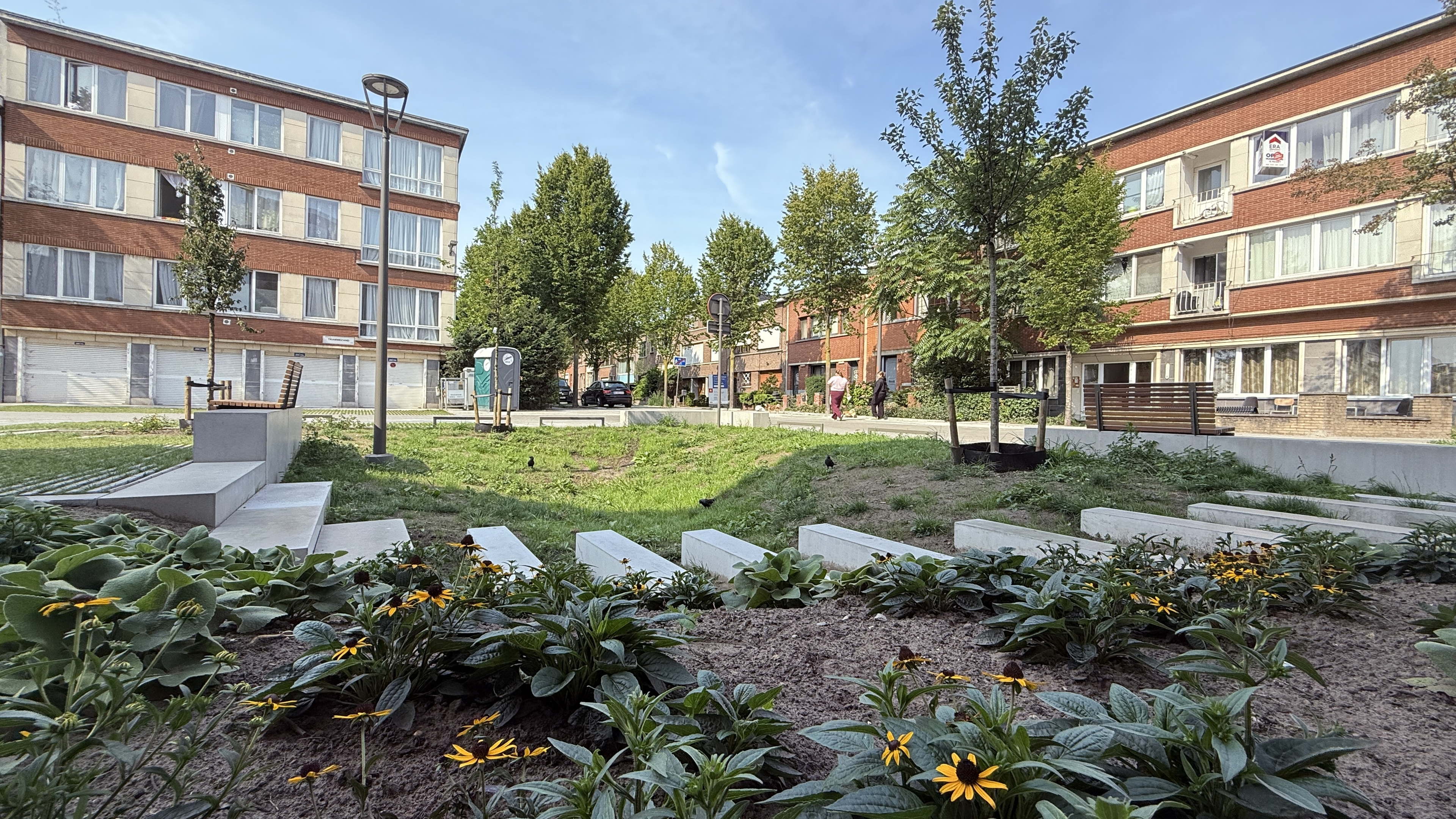 Persuitnodiging | Feestelijke heropening van Trammezandlei en Ridder van Parijsstraat