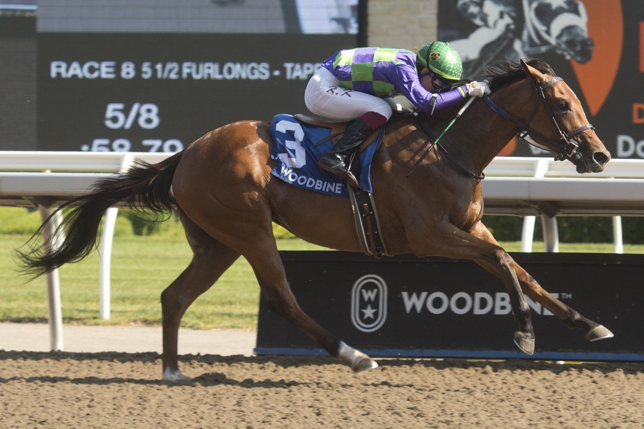 Collecting Flatter and Kazushi Kimura winning the My Dear Stakes. (Michael Burns photo)
