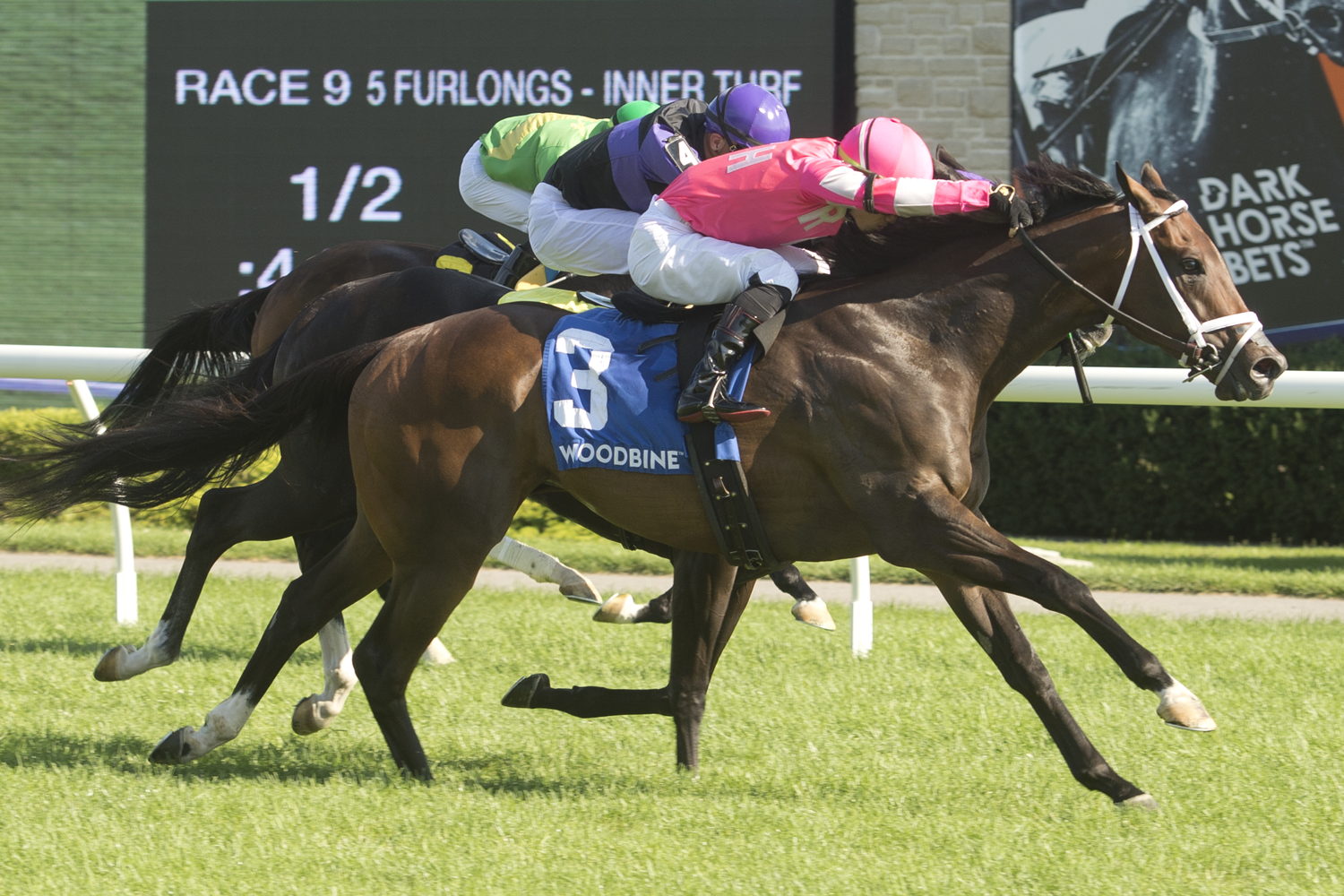 Outlaw Kid and jockey Kazushi Kimura winning the Vice Regent on August 5, 2023 at Woodbine (Michael Burns Photo)
