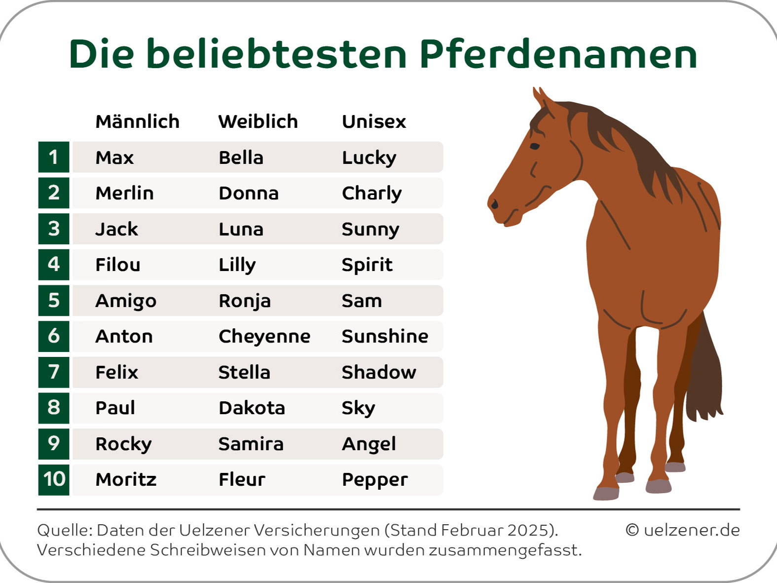 Spirit deutlich vor Fury und Black Beauty: Das sind die beliebtesten Pferdenamen der Deutschen