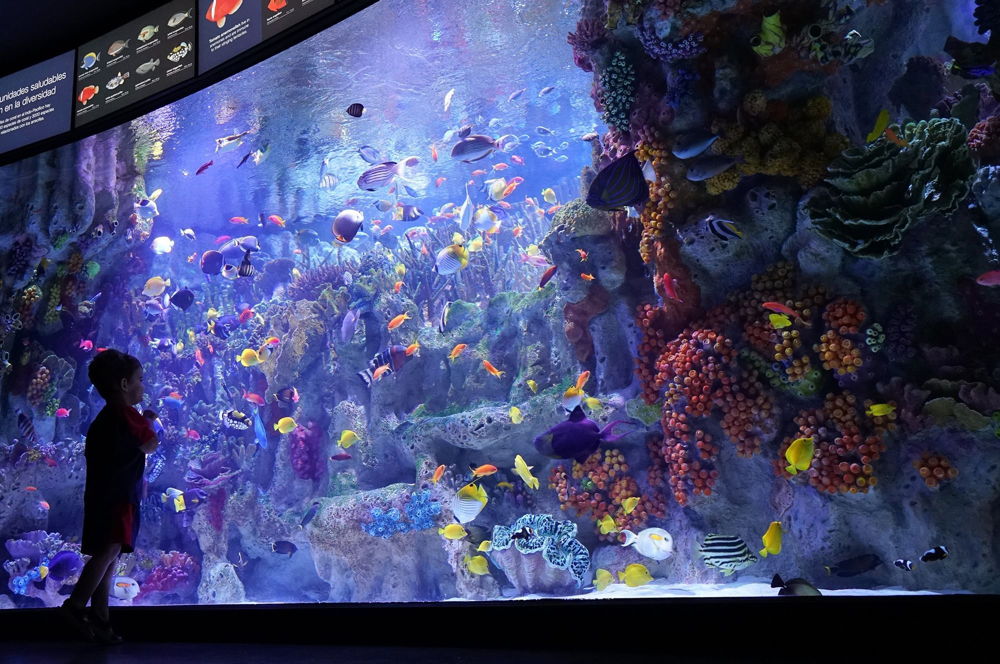 New England Aquarium, Boston