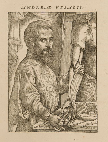 Portrait of Andreas Vesalius in: Andreas Vesalius, De Humani Corporis Fabrica Libri Septem, Basel, 1543 © KU Leuven, University Library, inv. CaaC17 – Bruno Vandermeulen