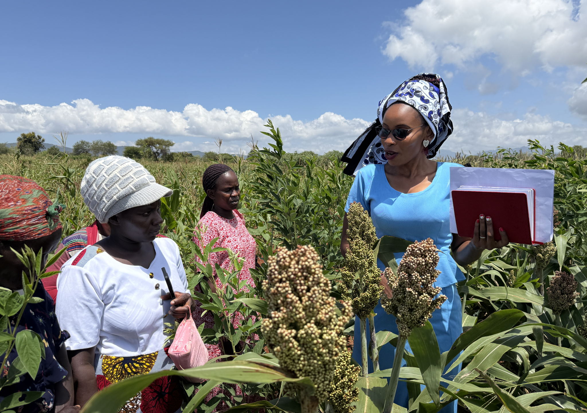 Climate-smart practices have enhanced productivity.