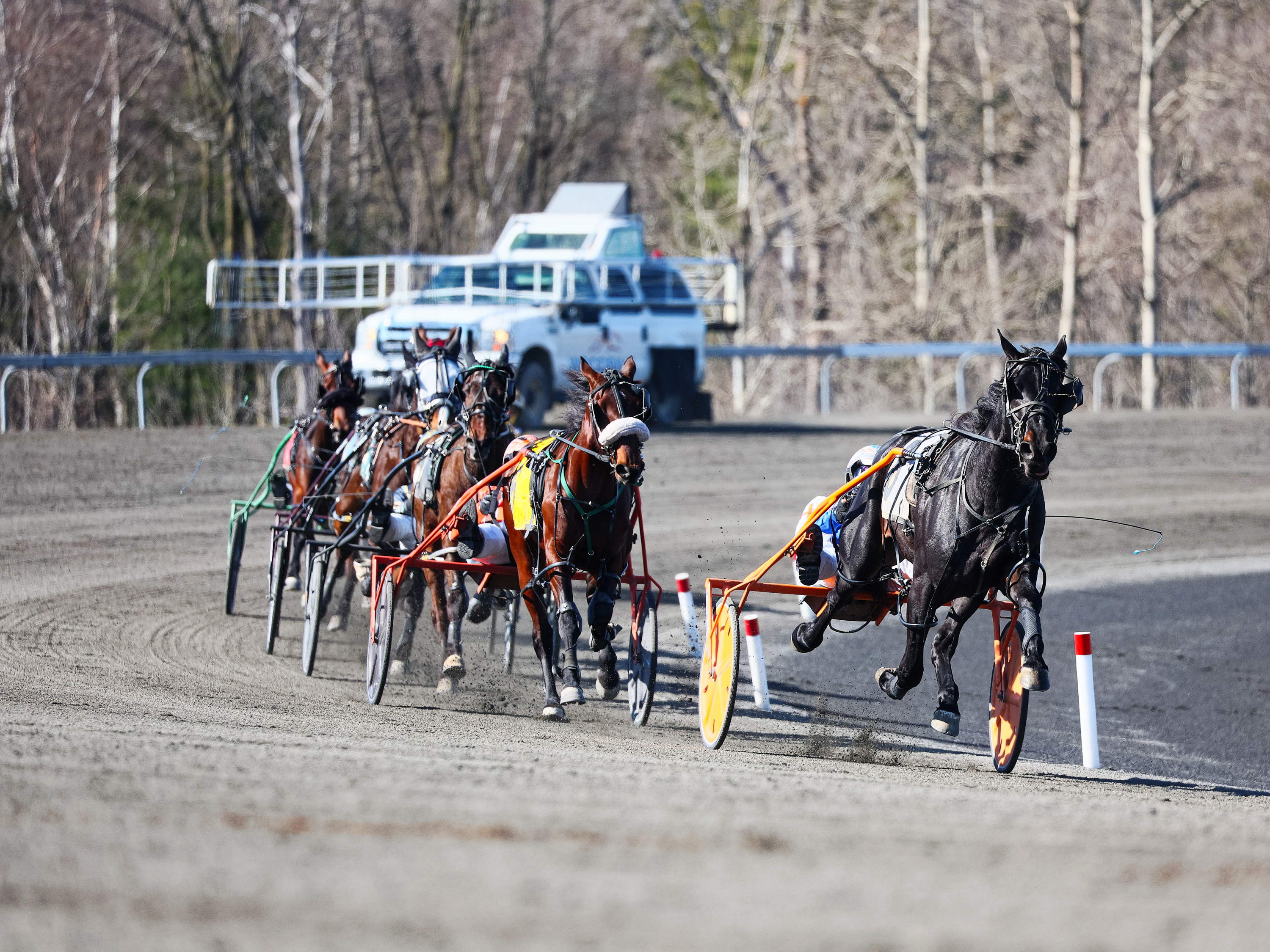 Three New Pop-Up Series added at Woodbine Mohawk Park