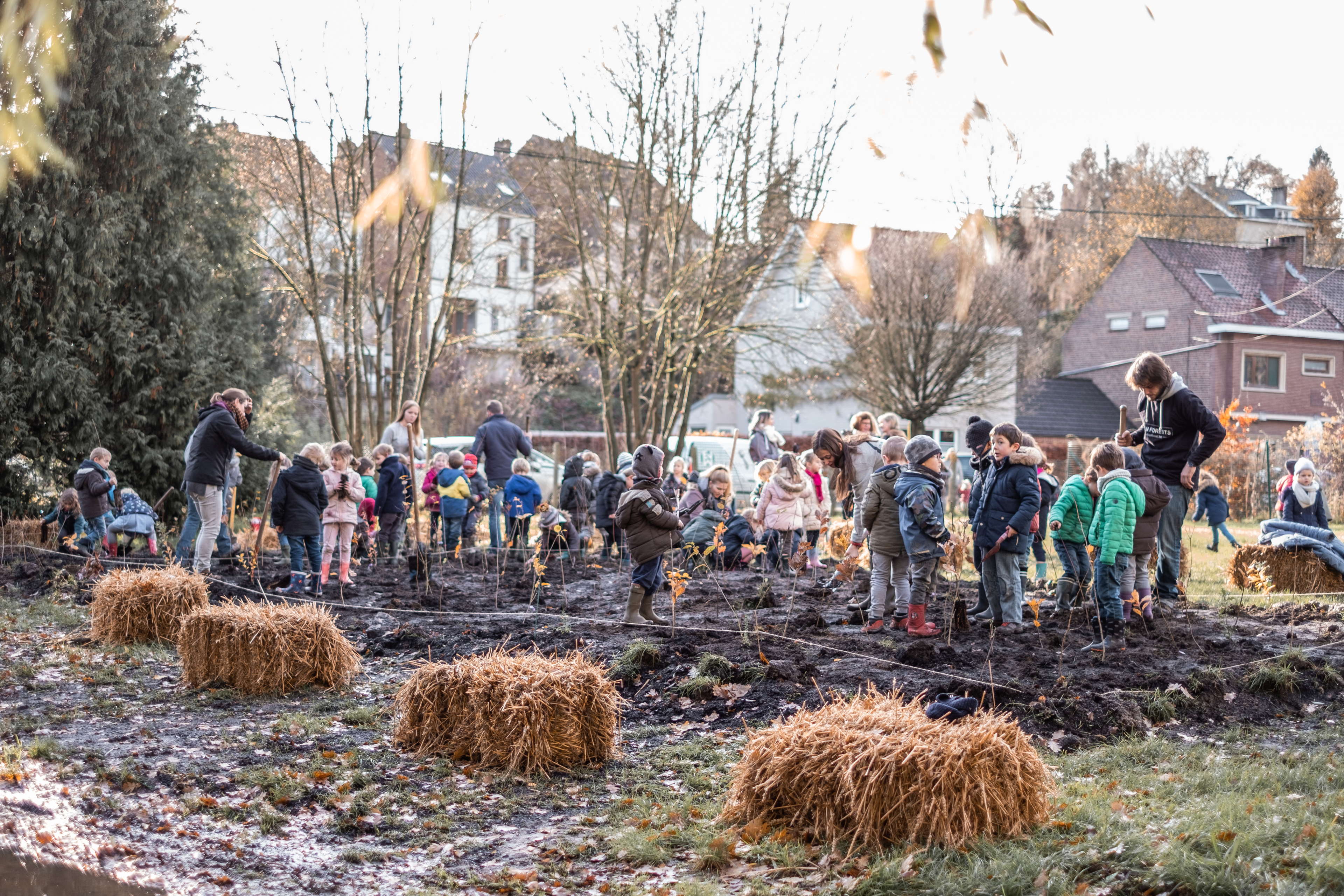 Honderden leerlingen planten komende weken en maanden hun eigen schoolbos: Mechelse basisschool geeft de aftrap  