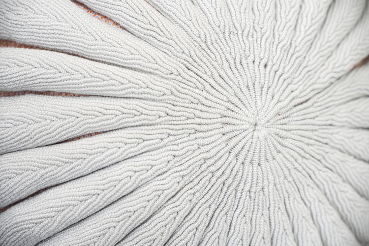 Kniterations © Patty Van Den Elshout