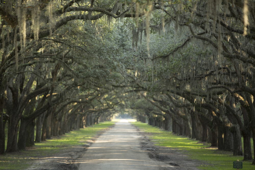Savannah, GA