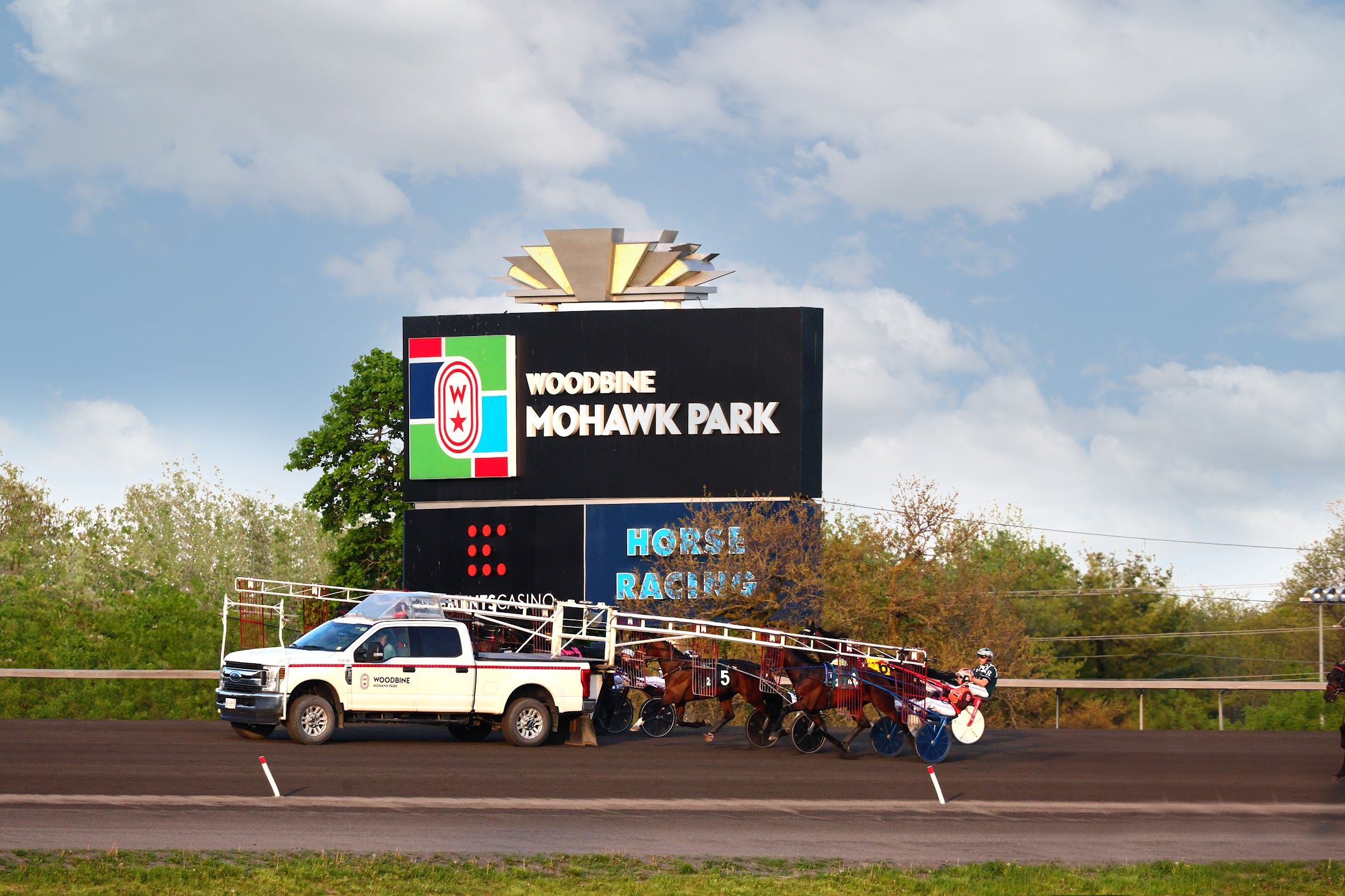 Horse behind the gate at Woodbine Mohawk Park. (New Image Media)