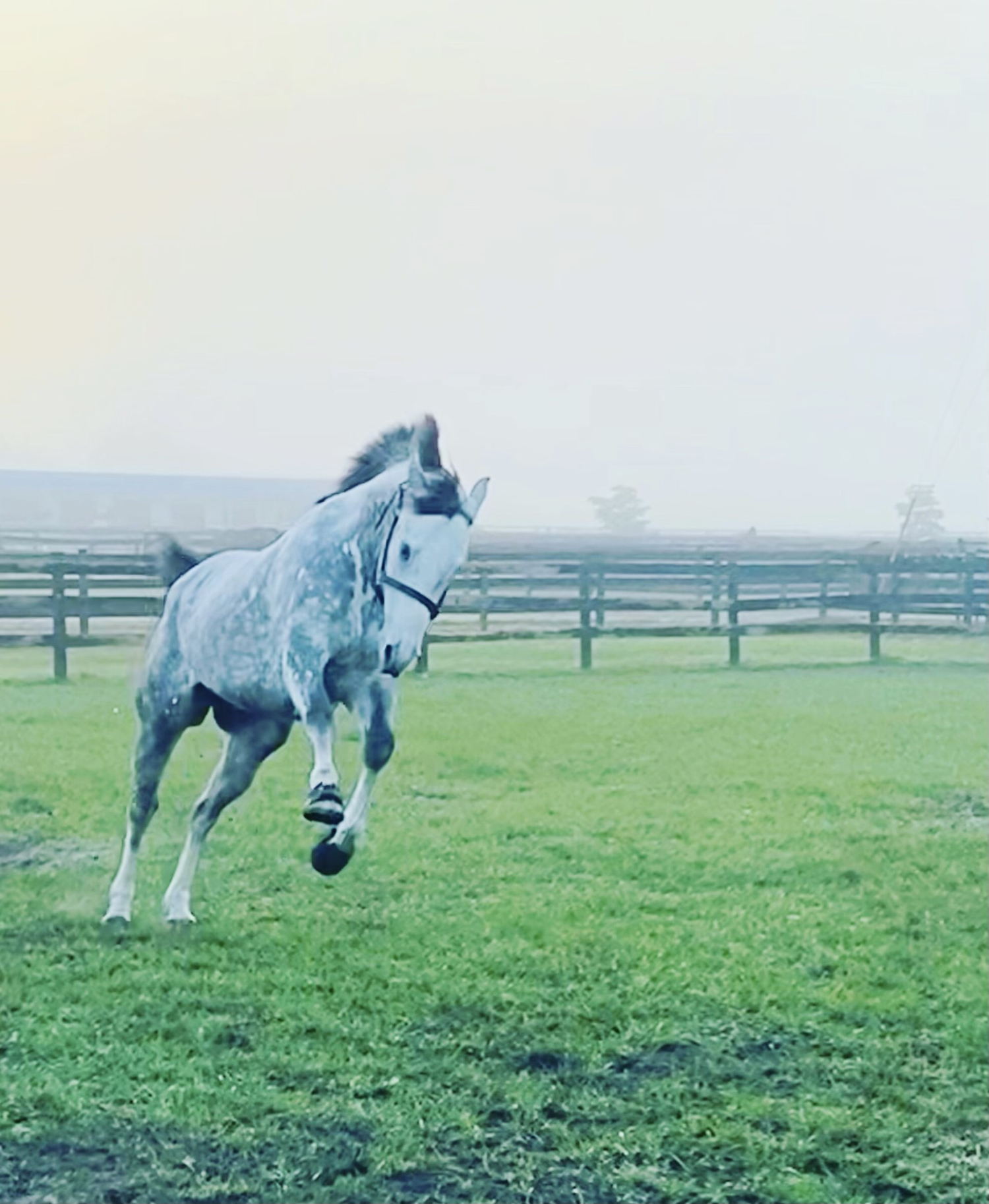 Rockcrest (Photo courtesy of Nigel Burke)