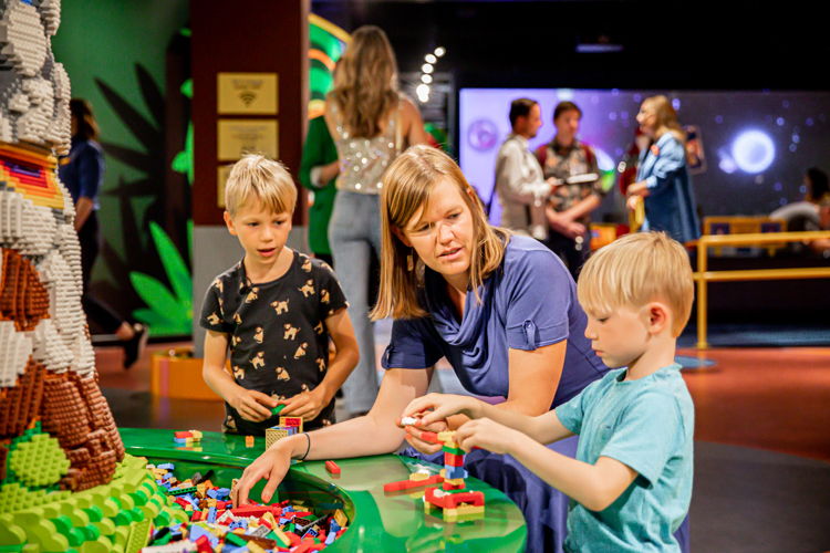 LEGO boom der verbeelding - LEGO®  Discovery Centre 