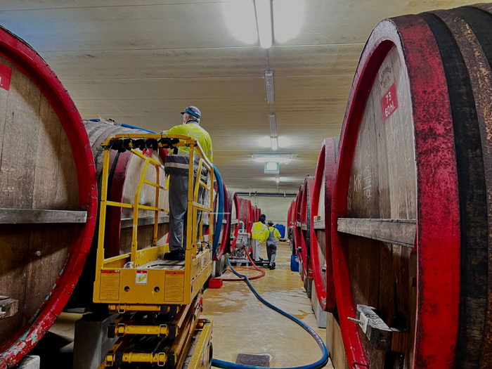 Belgische krieken komen aan in brouwerij Belle-Vue in Sint-Pieters-Leeuw