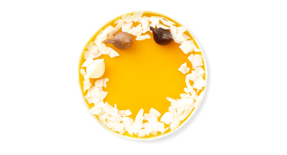 CHEESECAKE PASSIE TOP