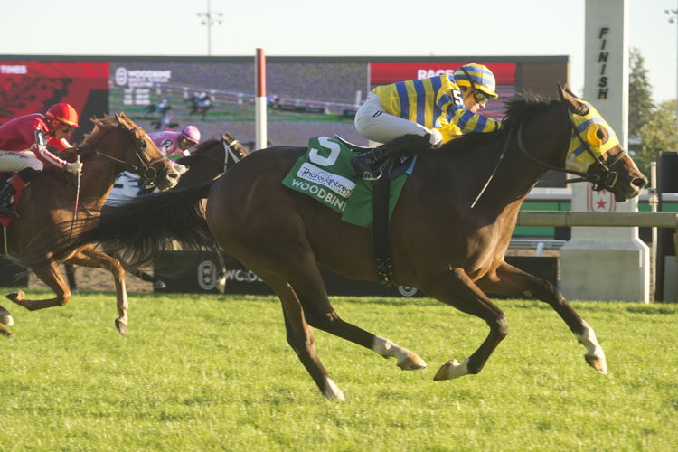 Patches O'Houlihan and jockey Sofia Vives winning the Nearctic Stakes on October 5, 2024 at Woodbine (Michael Burns Photo)