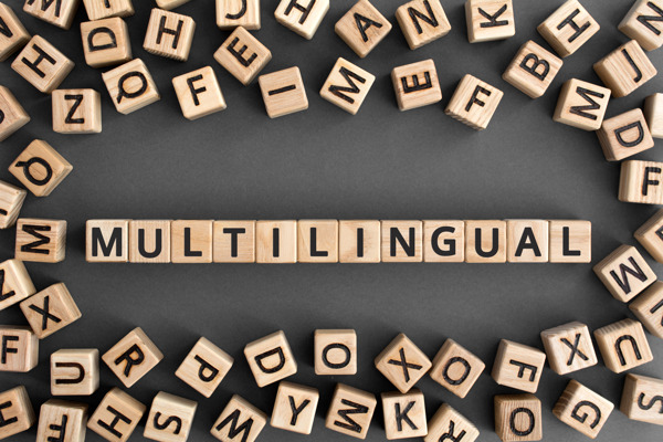 Preview: Per prima in Europa la VUB lancia il primo corso di laurea triennale in inglese in Linguistica e Letteratura con un programma urbano, multiculturale e multilingue