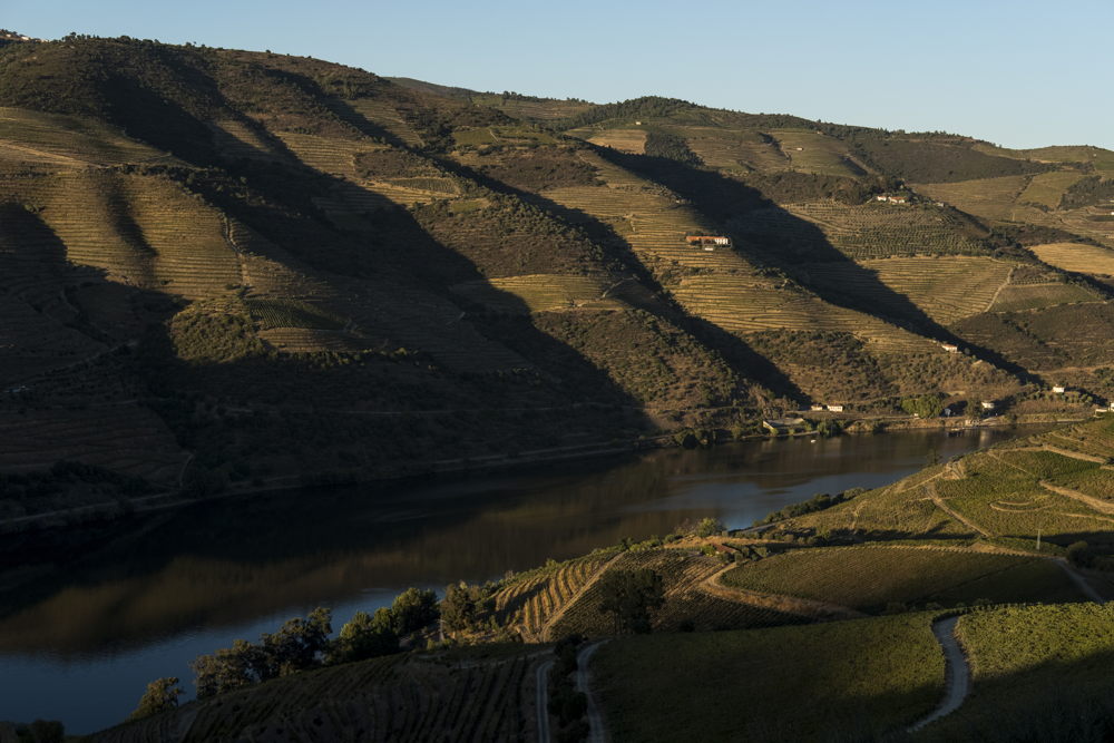 Douro-vallei