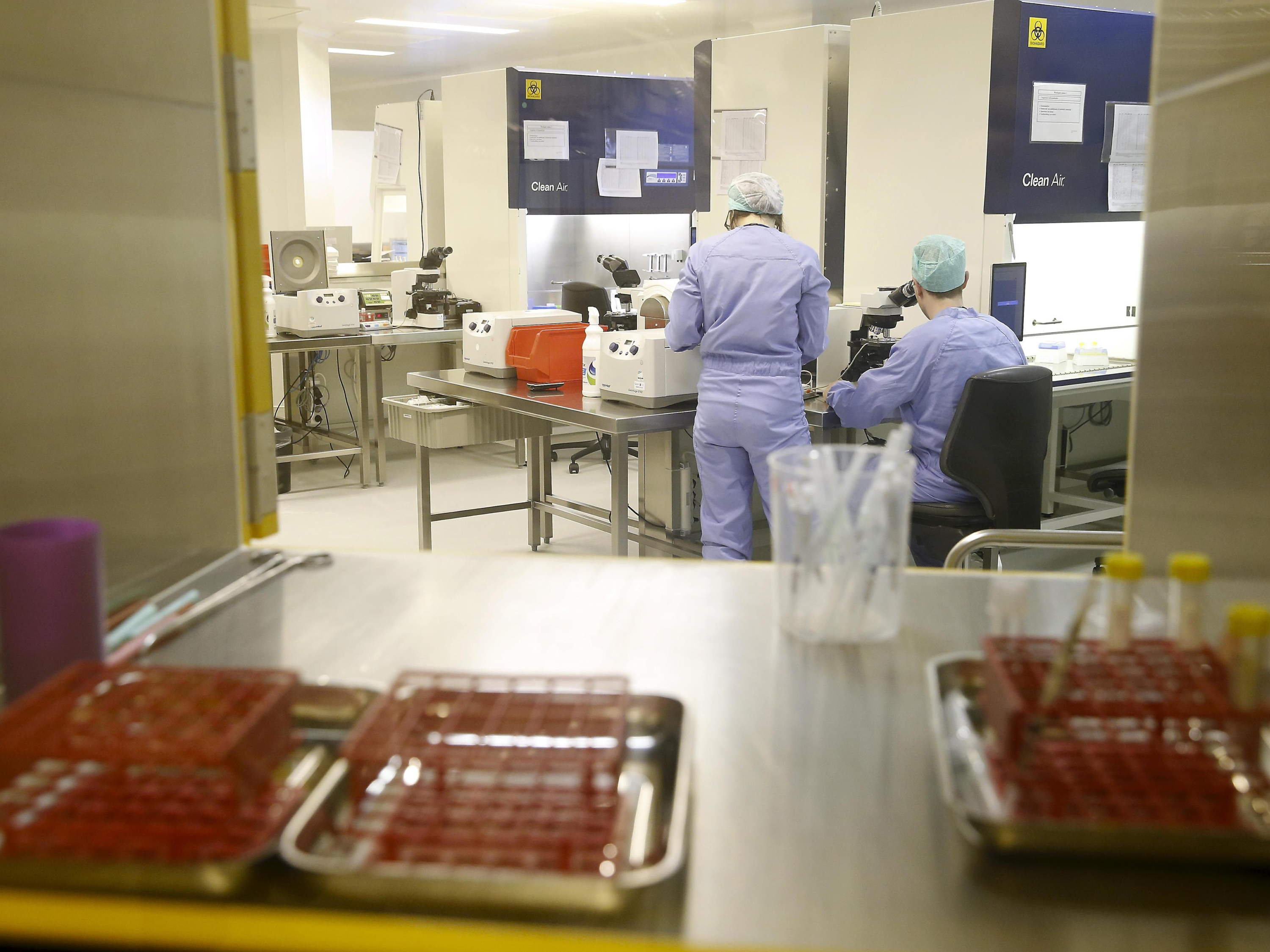 Investigation launched into fertility clinic following donor scandal