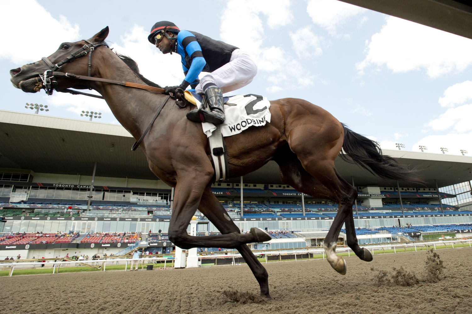 Mensa and jockey Patrick Husbands winning the Victoria Stakes on July 19, 2024 at Woodbine (Michael Burns Photo)