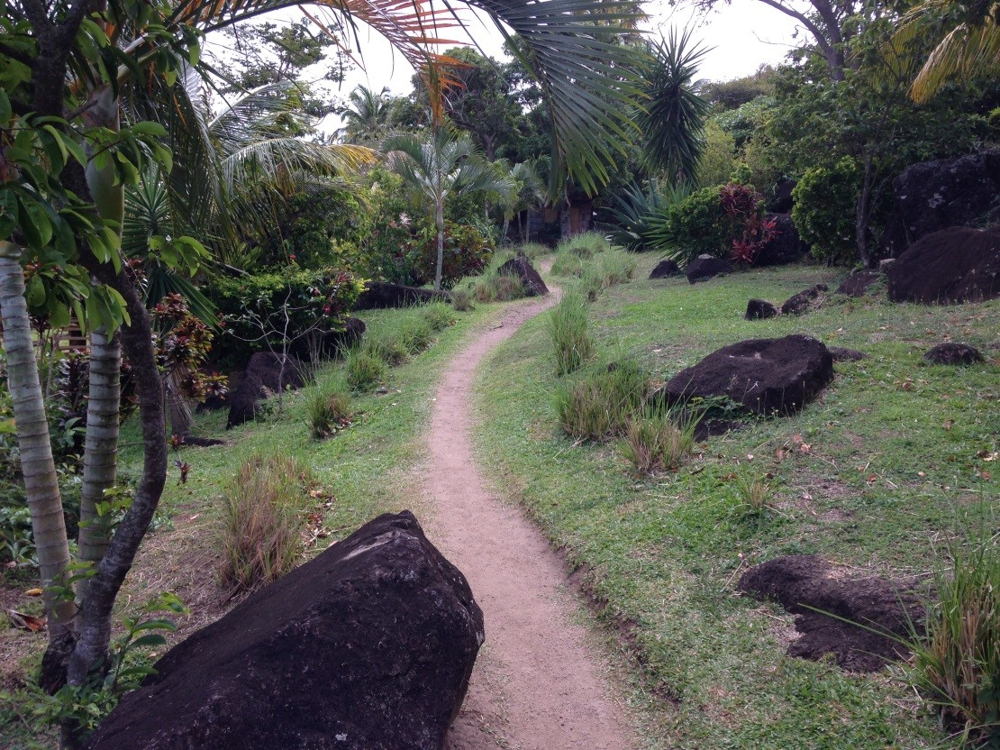 Gros Pitons Train through Au Poye Park