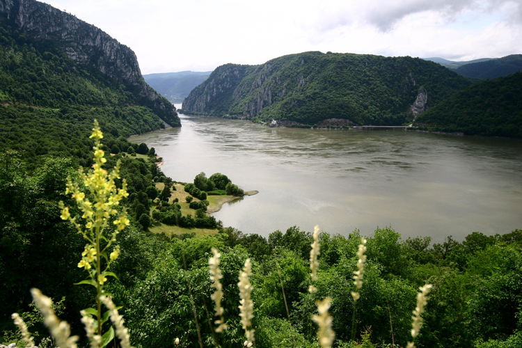 Donau