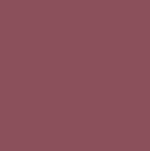 Radicchio No. 96